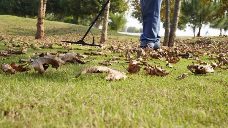 Pros-and-Cons-of-a-Medium-Range-Coil-in-Metal-Detection