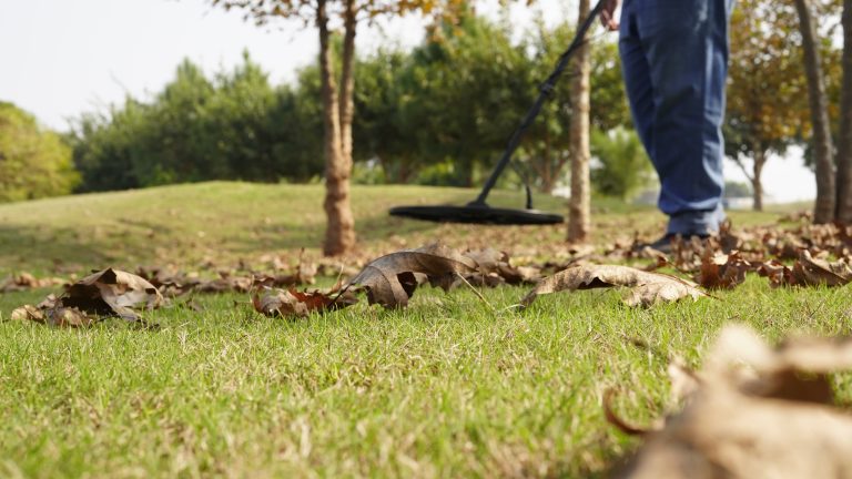 optimal coin hunting